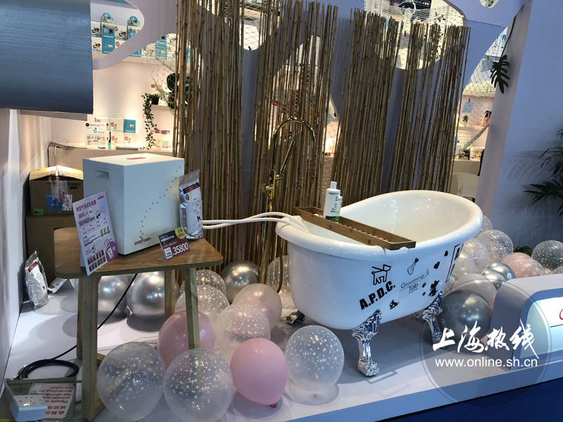 亚洲宠物展2022直播,亚洲宠物展会直播