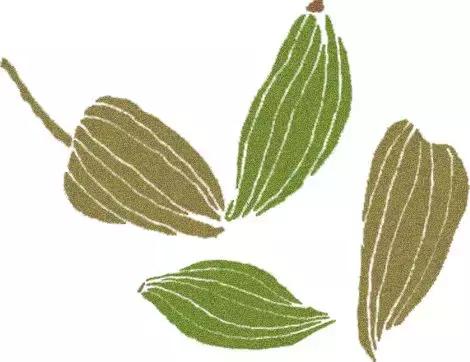 烹饪菜肴用的香辛料,料理必备调味料