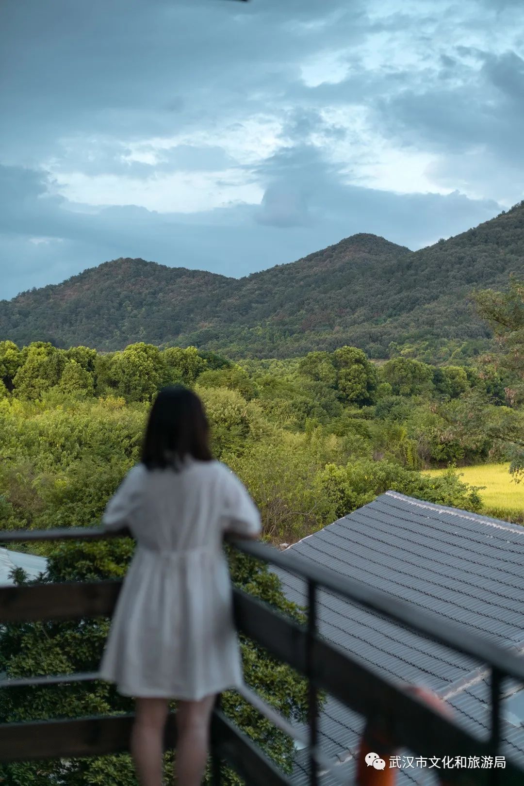 藏在武汉郊野的4家美宿来了，周末晚上来玻璃房看满天繁星