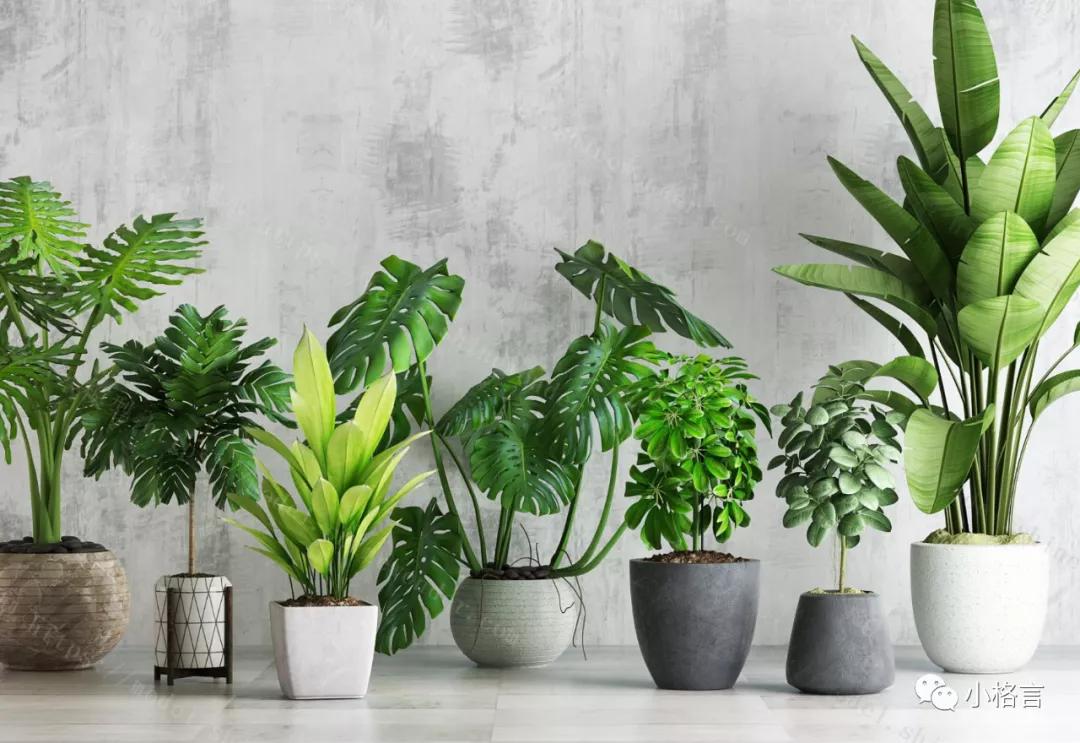 加拿大留学入境海关流程,加拿大携带物品怎么海关报备