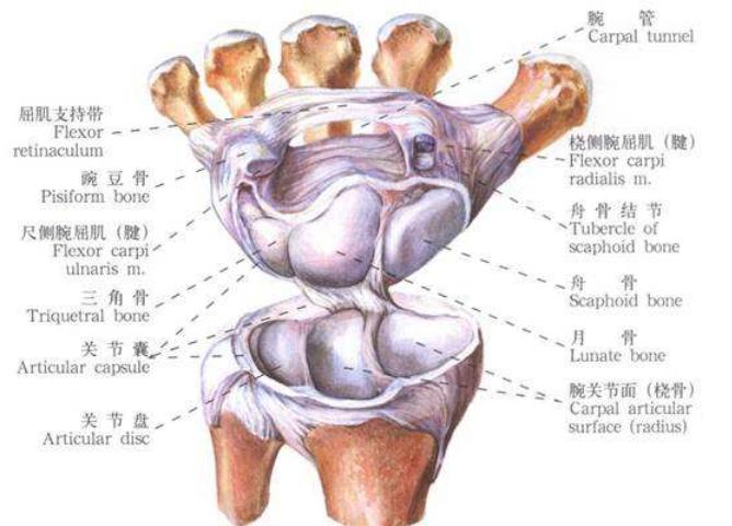 全身压痛点分布图,疼痛部位集中于颞下