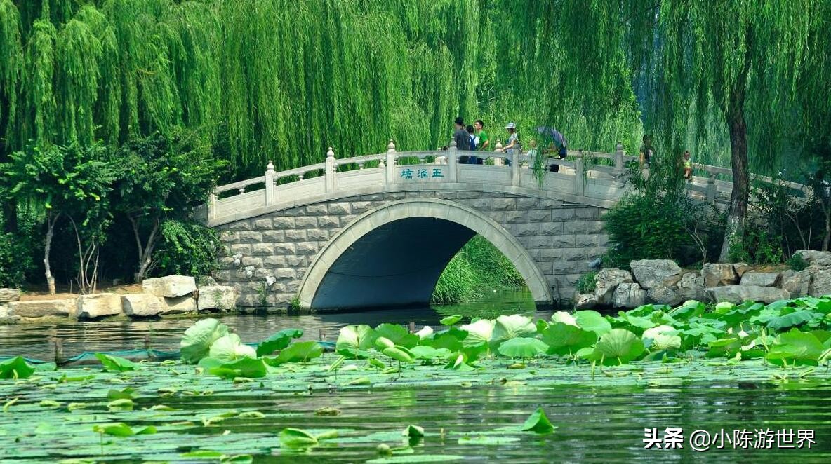 挖机大妈向趵突泉吐水,大妈向趵突泉吐水西安游客