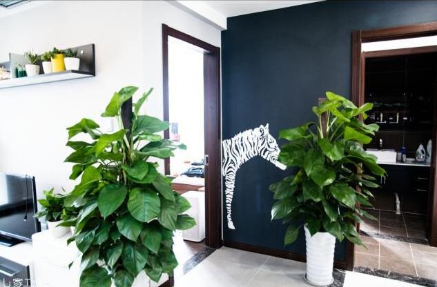 科研海归在摩玛城买了一室一厅，这样改造，小家变大家