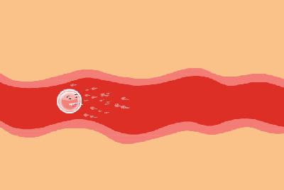 张院讲短视频,张院最新讲述视频