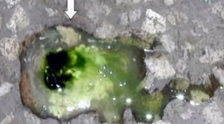 如何分辨虚寒下痢和泻热下痢,预防家禽白痢