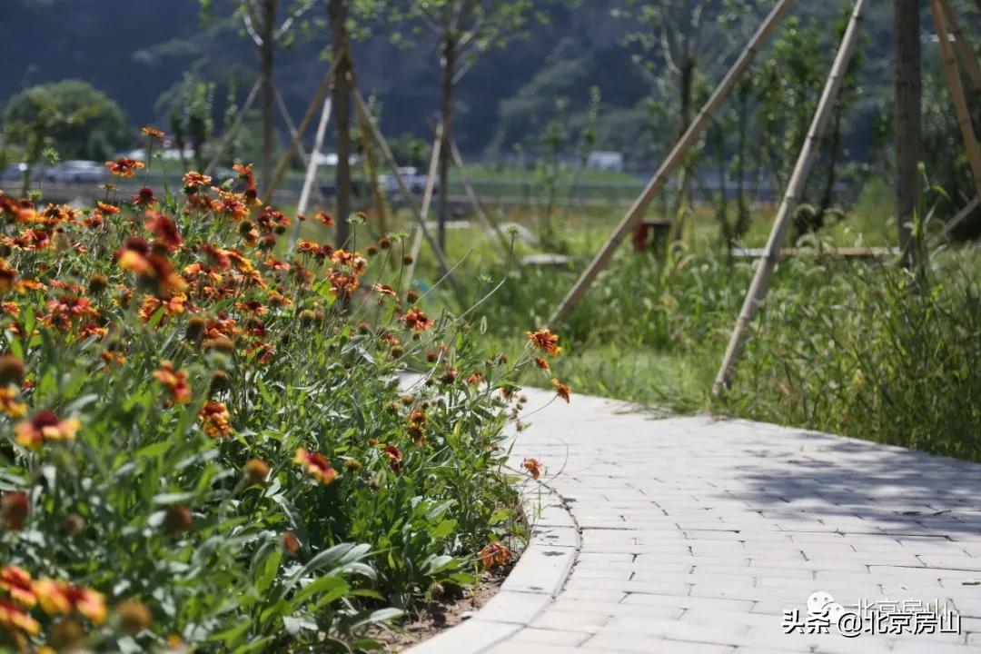 废弃的矿山正在改造成为一座公园,废弃矿坑改造成美丽公园