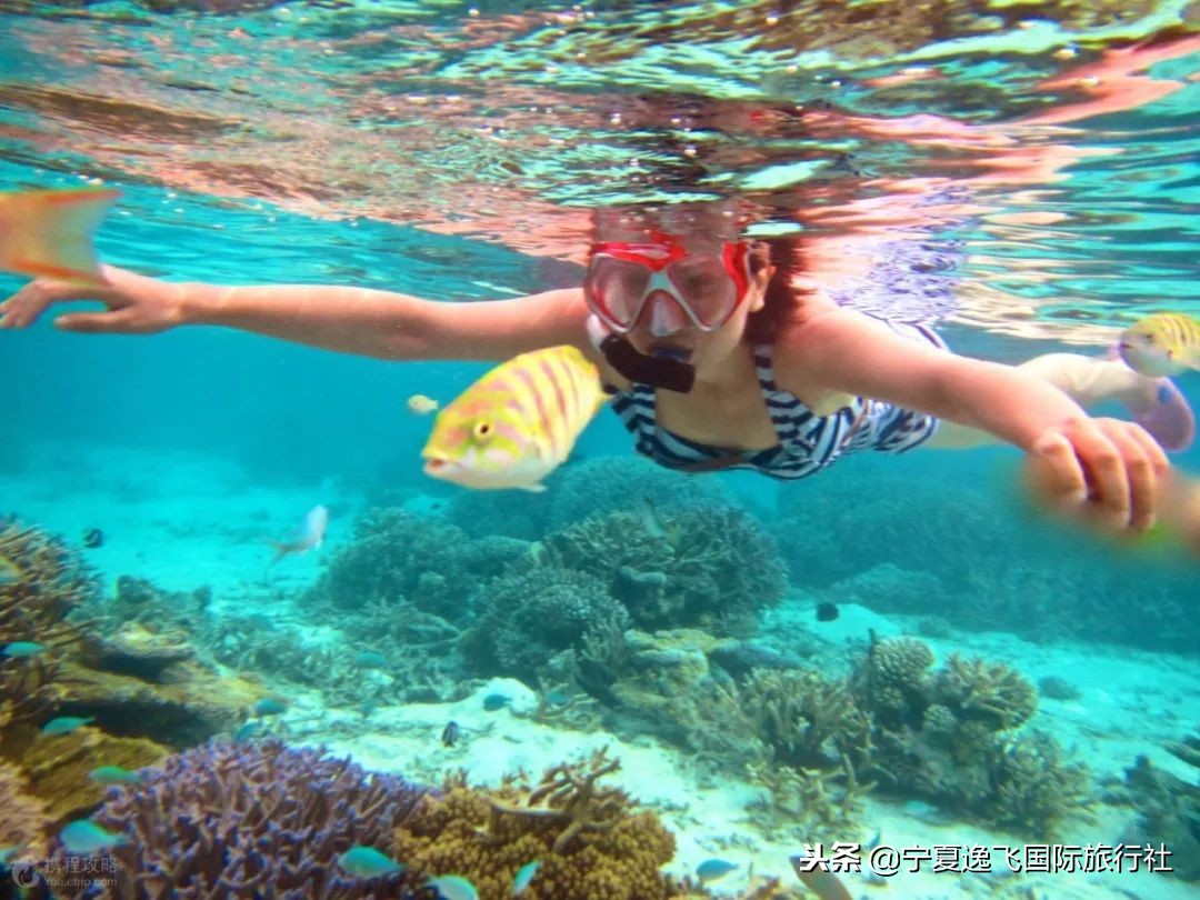 巴厘岛6晚8天2人独立成团专司专导纯玩无购物+婚拍套餐