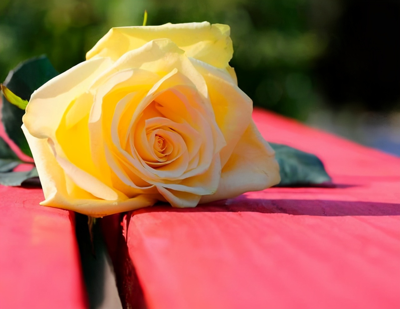 同居过女人心态是怎样的,不要对离过婚的女人有偏见