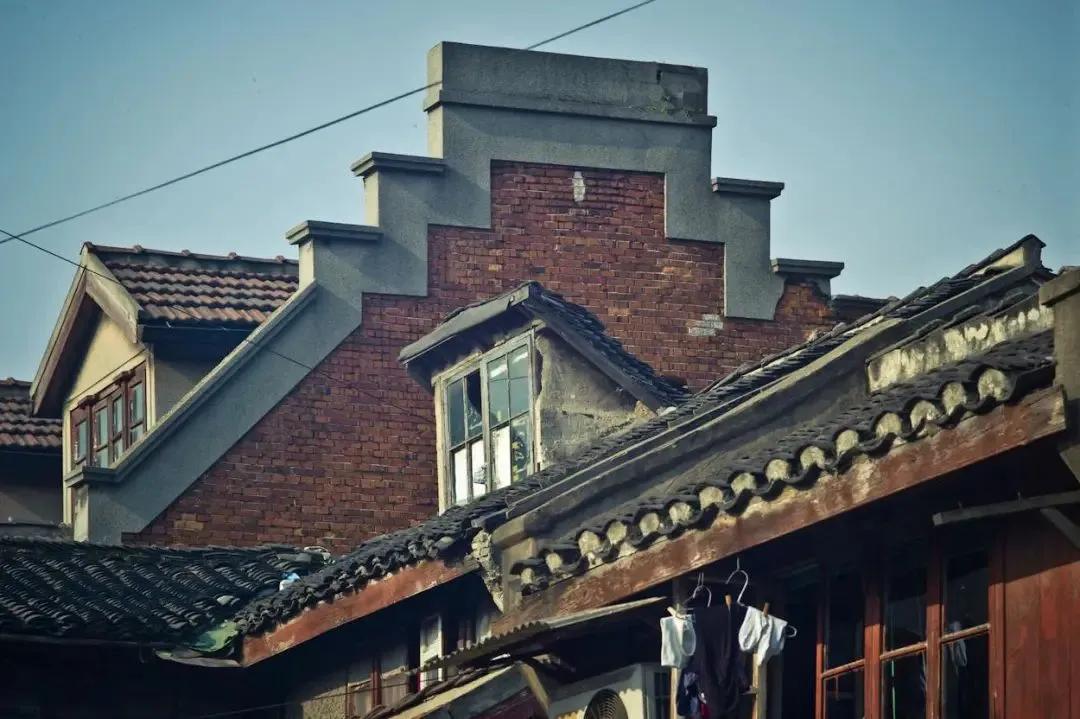 王安忆冬天的聚会,王安忆《流逝》