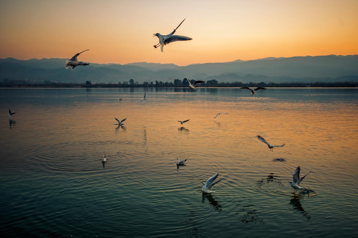 西昌一座你来就不想走的城市,邛海一个充满诗情画意的远方