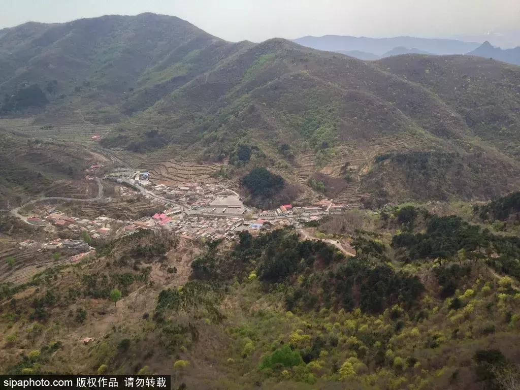 春暖花开，北京周边适合登高的地方，花开正美！还有专线能直达一个5*级A**长城景区！