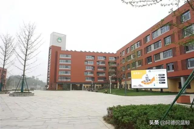 南京外国语学校仙林分校,南京外国语仙林分校燕子矶校区