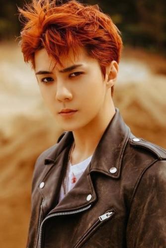 exo12位成员现状,exo12个人谁退出了