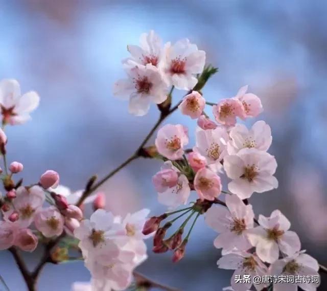 颠覆认知的古诗,颠覆认知脑洞大开的语句