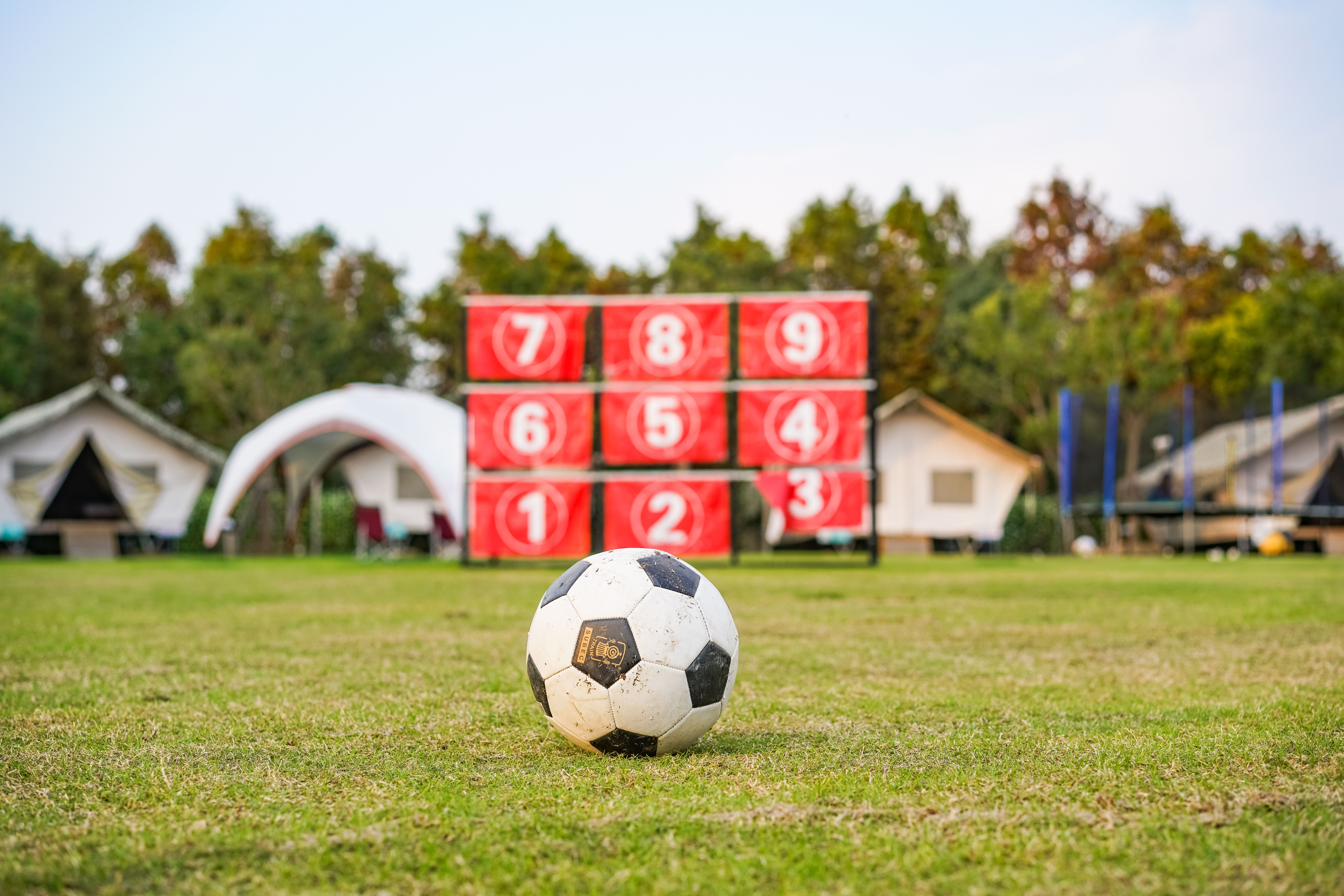 奉贤海湾森林公园露营攻略,露营基地奉贤