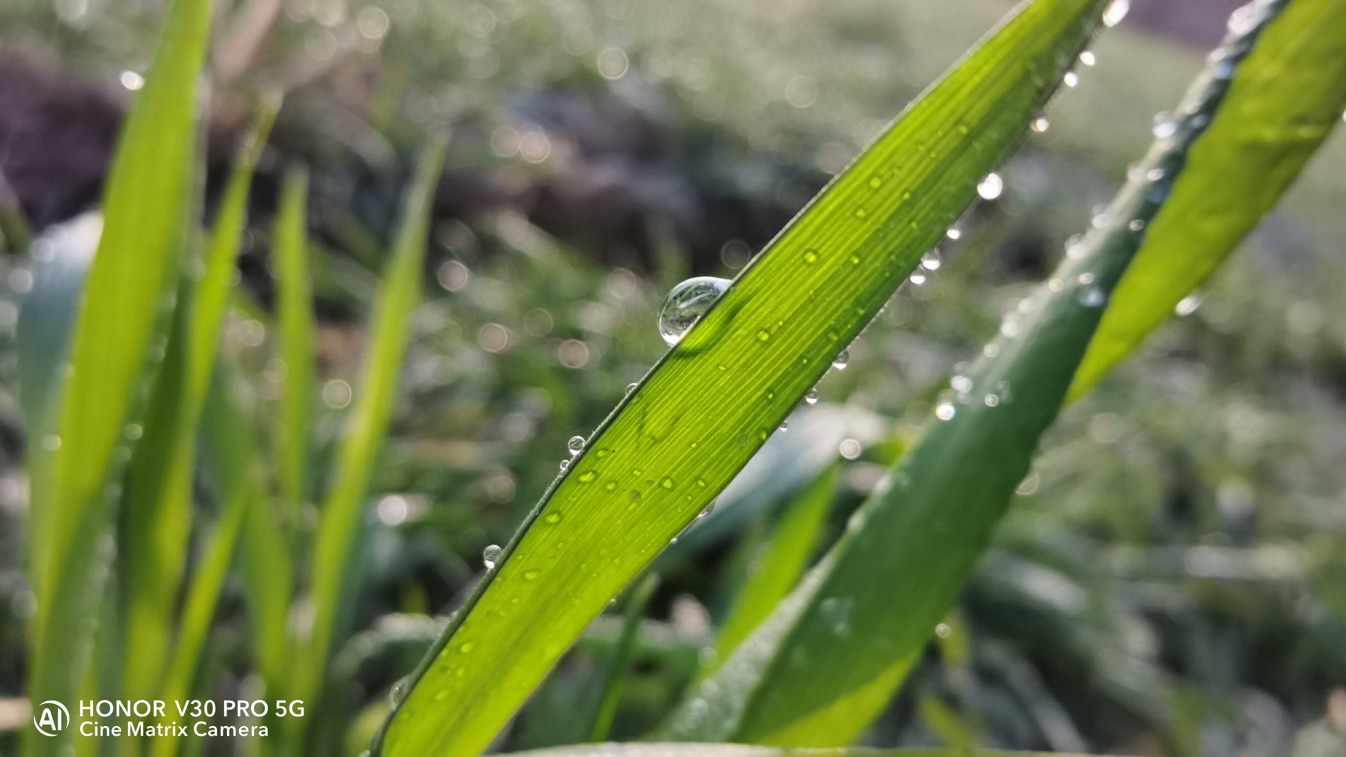 荣耀v30pro拍照现在算落后吗,荣耀v30pro和红米k30s至尊版对比