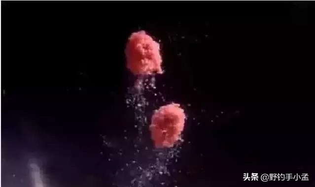 拉饵微离底钓法,拉饵破丝怎样操作