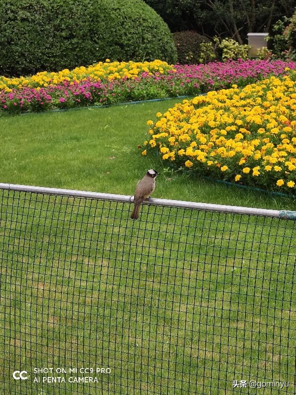 我眼中的黄浦,我眼中的上海生活