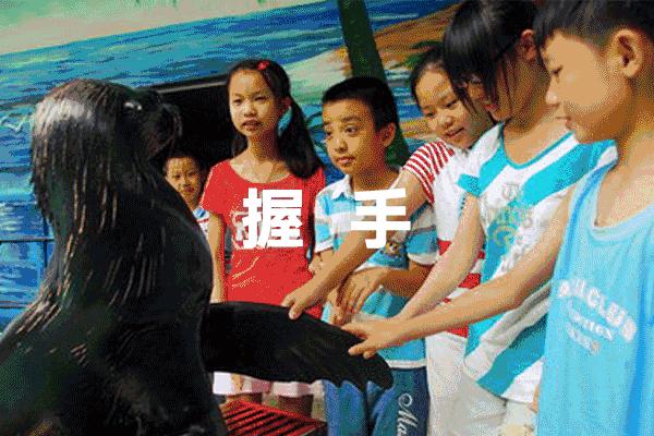 河源市连平县忠信镇大湖花海,太湖花海主题乐园