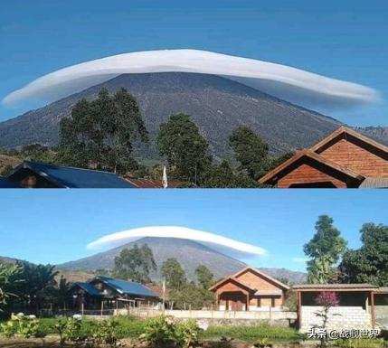 鸭类鸭类,鸭类品种大全