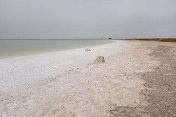 卤味都是现卤吗,卤起源卤味