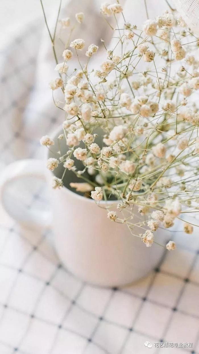 「花艺知识」50种常见花材的花语~（建议收藏）