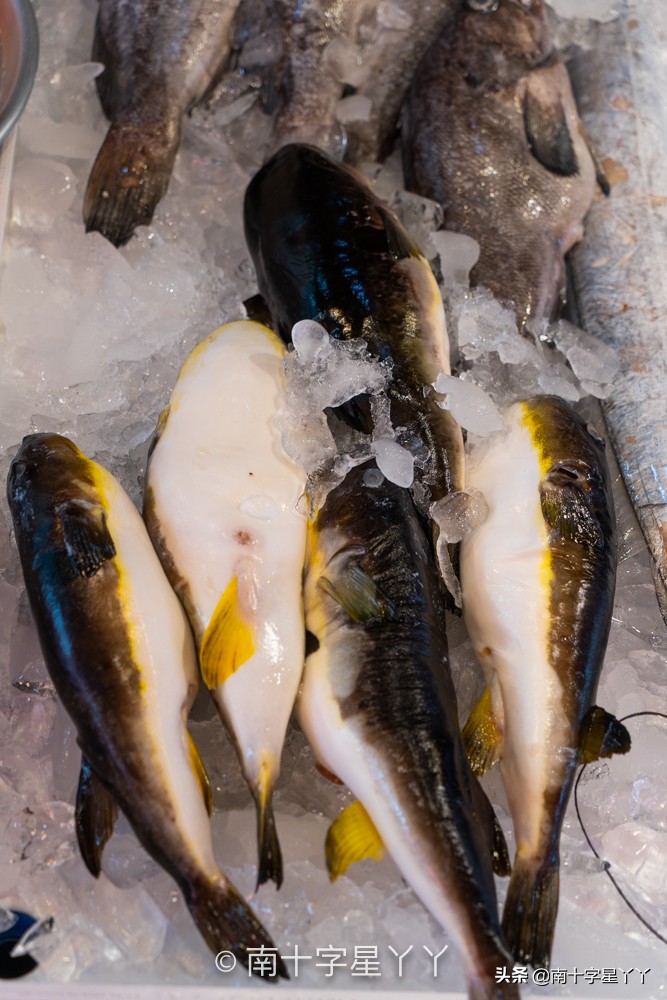 好看的韩剧推荐釜山行,釜山推荐景点打卡攻略图