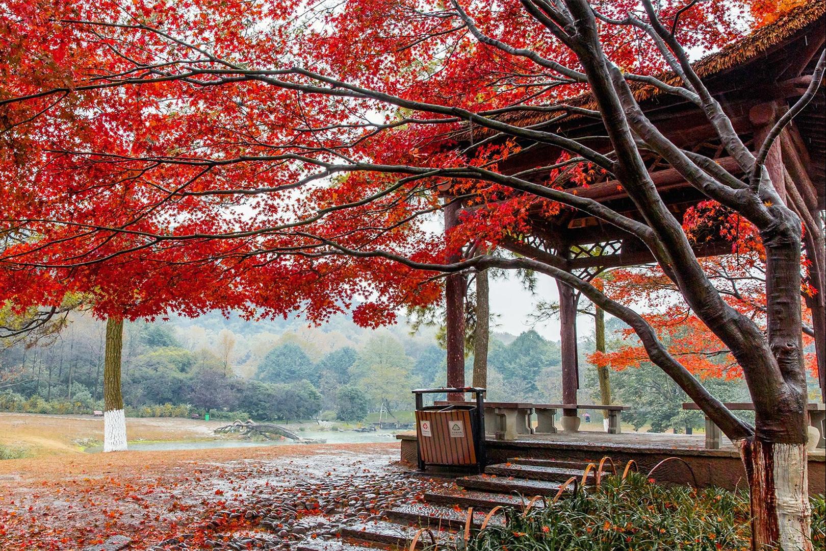 安宁的意思有什么区别,安宁的含义是什么