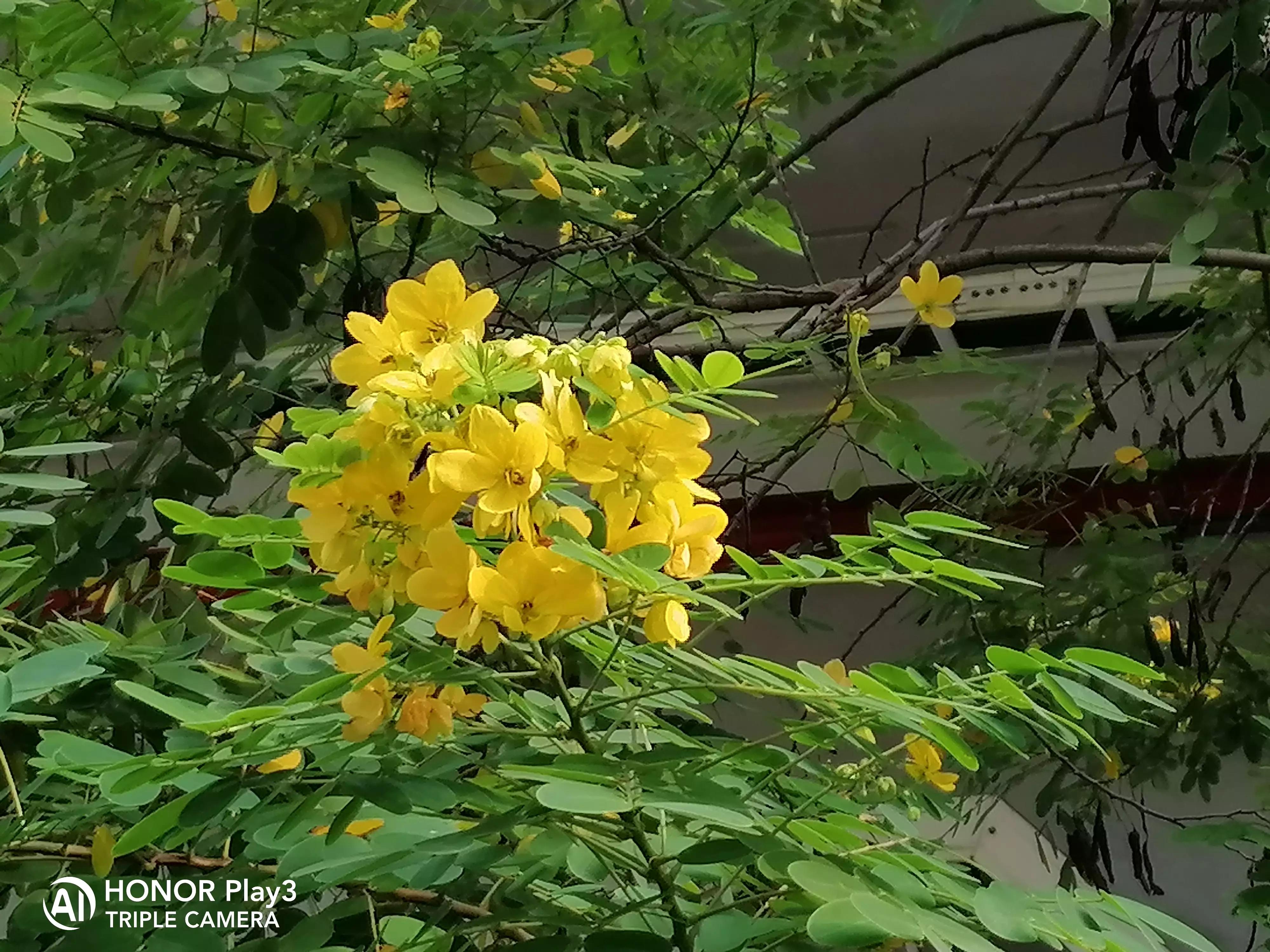 信用卡为什么很少申请强制执行,信用卡一年没还被法院执行怎么办