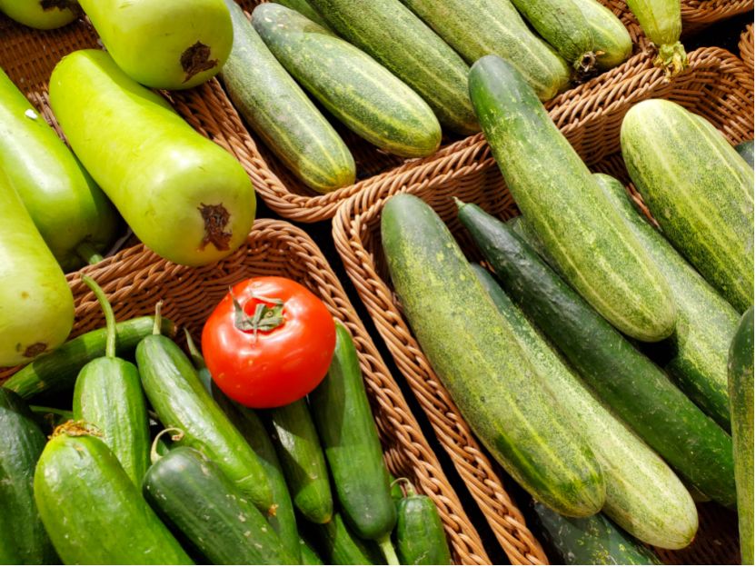 三星note10+深度评测拍照功能,三星note10画质