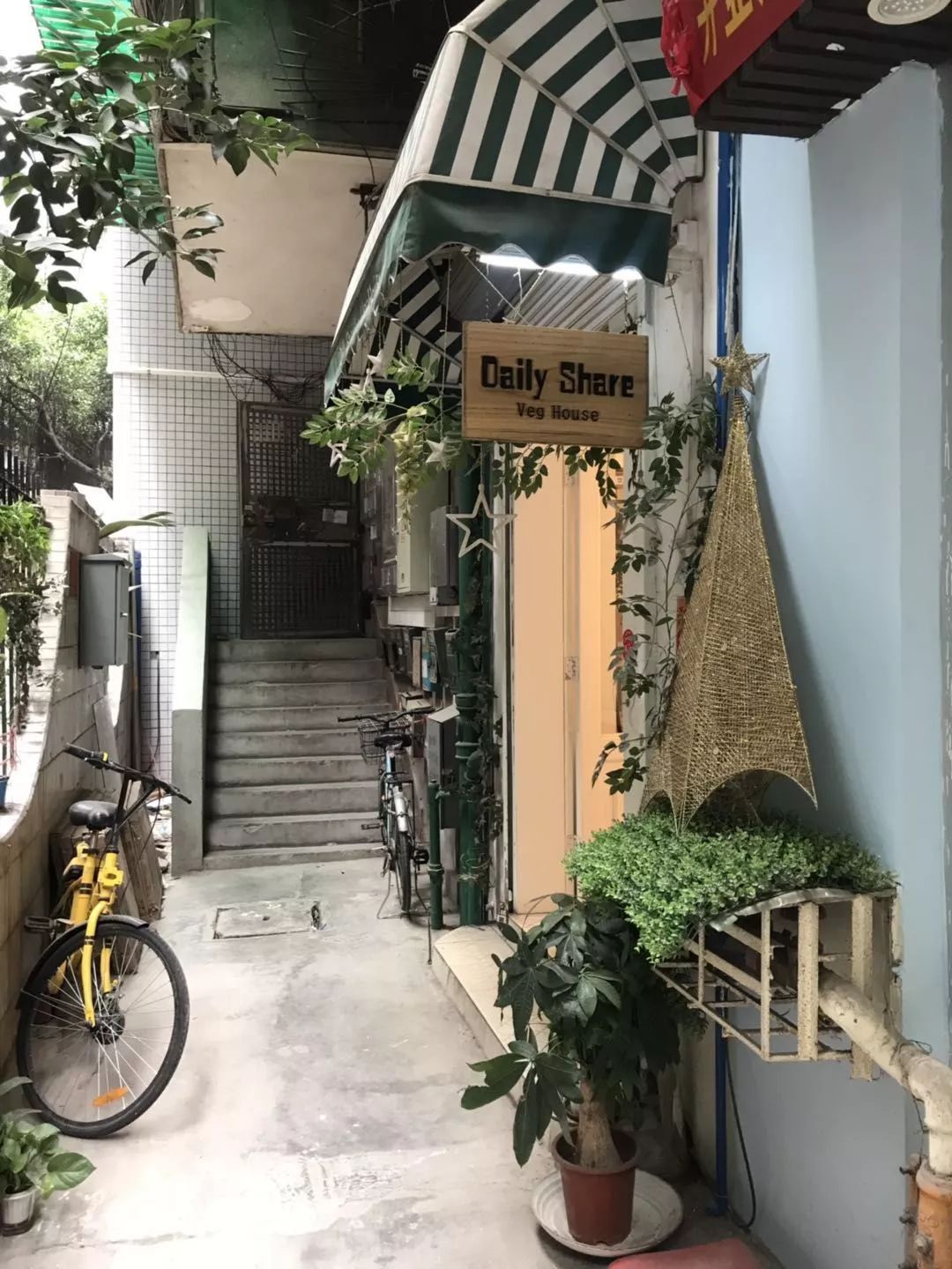 如何选对灵魂伴侣,如何选对正确的伴侣