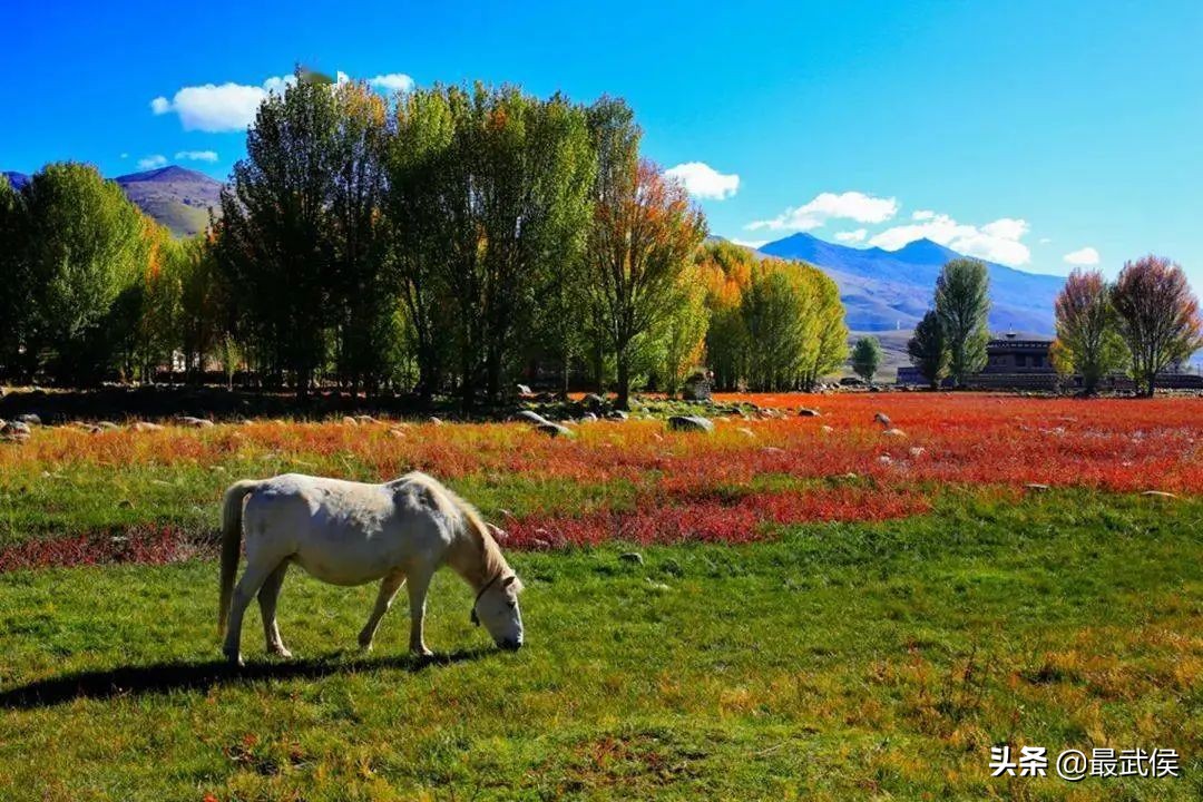 四川拟新增9家4A级旅游景区,四川省新增11家4a级旅游景区