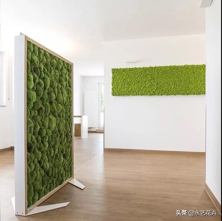 永生花苔藓植物墙,永生苔藓的价格