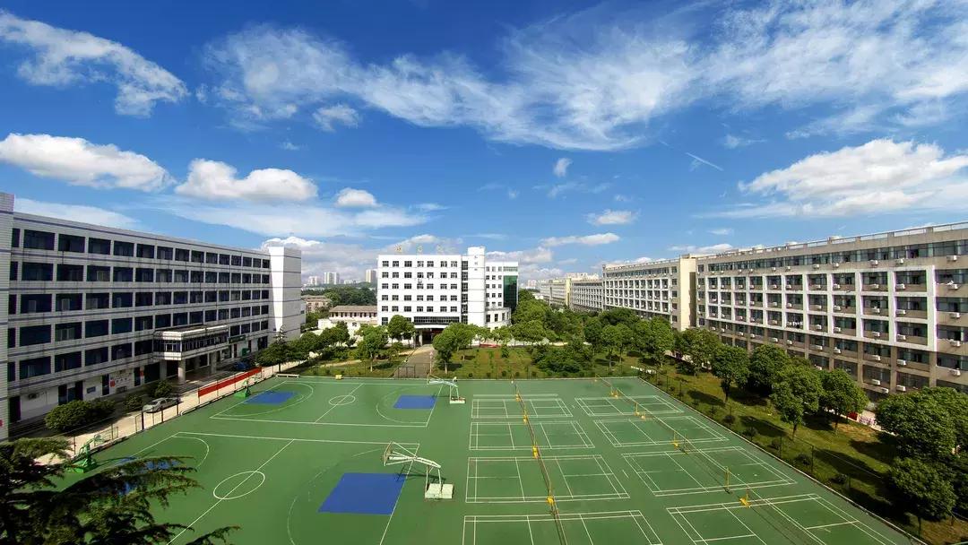 湖北高校在全国实力能排第几,湖北美术生捡漏的公办大学