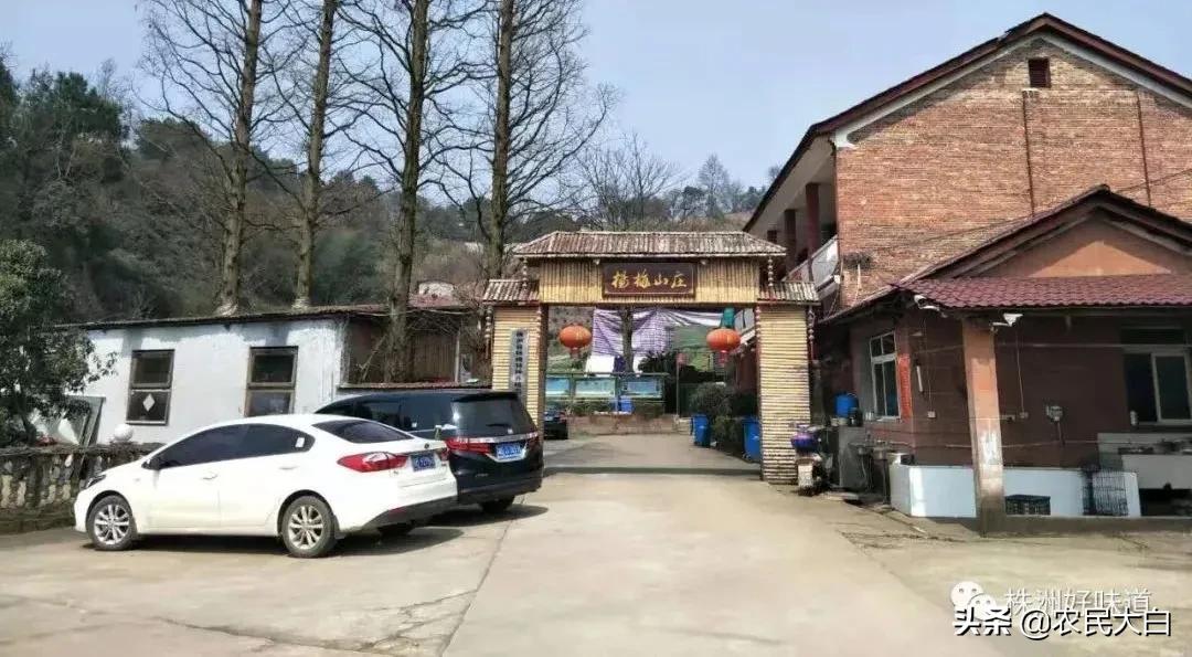 不准吃野生动物,禁止吃野味