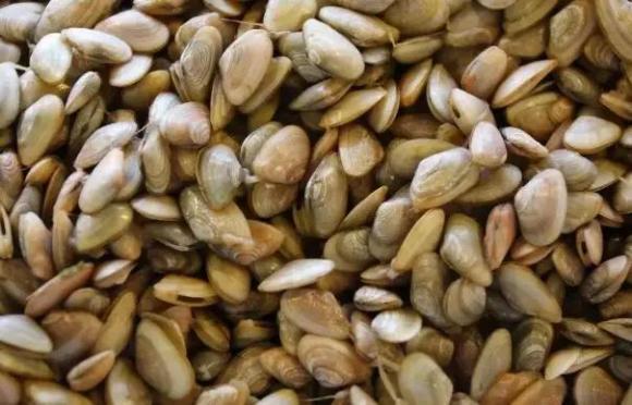 宁波杭州湾世纪城在哪个区,宁波杭州湾新区发展历程