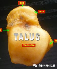 崴脚超过24小时是热敷还是冷敷,崴脚超过48小时是热敷还是冷敷