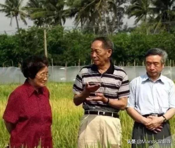 中国人能自由吃瓜，离不开这位“甜瓜女王”