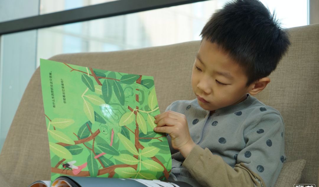 这套让娃沉迷一整天的科普书，连大人都忍不住偷着玩！畅销300万