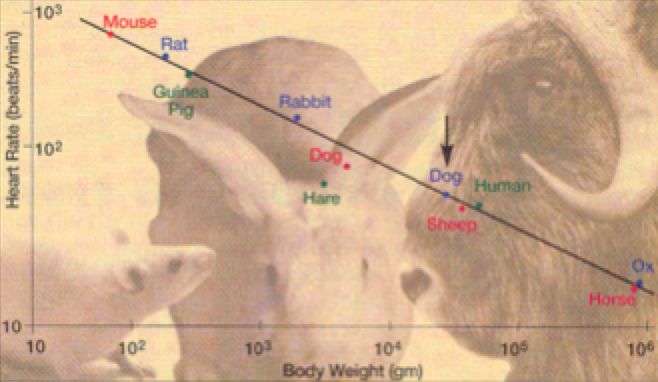 科学家找到6个神奇的数字,科学家找到6个神奇数字
