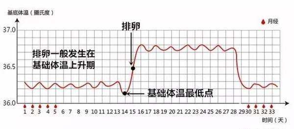 避孕日,世界避孕日知识测试答案