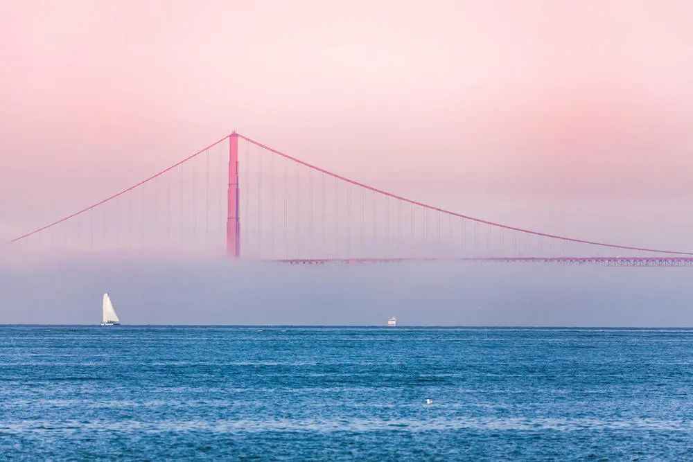 同性恋职场生存现状：有人高调出柜，有人被八卦*生活性**