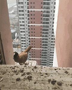 猝不及防一字马搞笑动图,搞笑gif倒立外加一字马