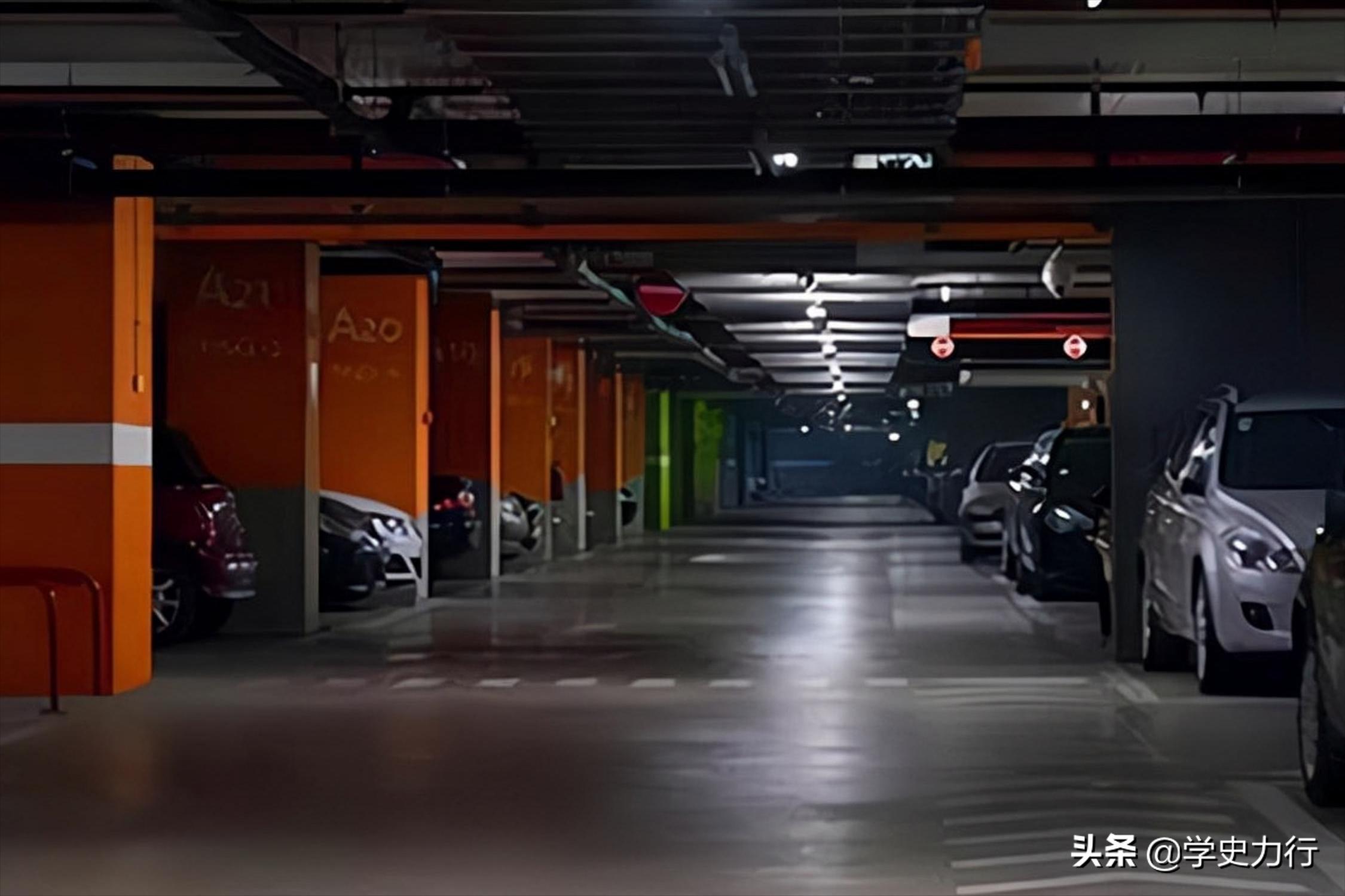 马来西亚跆拳道黑带9段,马来西亚跆拳道华人女子被害