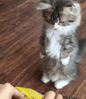 足球场上充满了不确定性