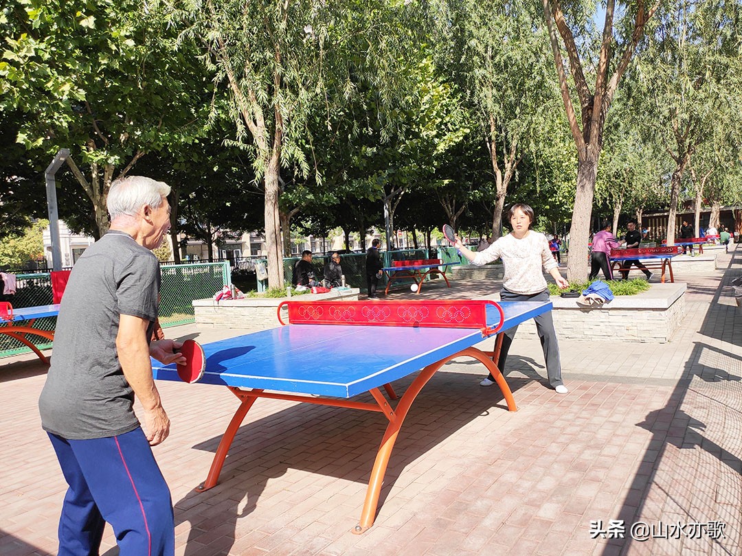 石家庄体育公园哪个最好,石家庄体育公园有什么好玩的