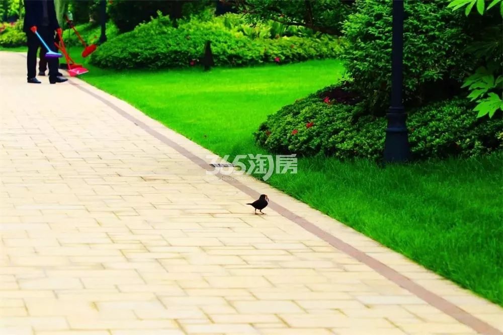 中华新城最新视频,最新河西新城消息