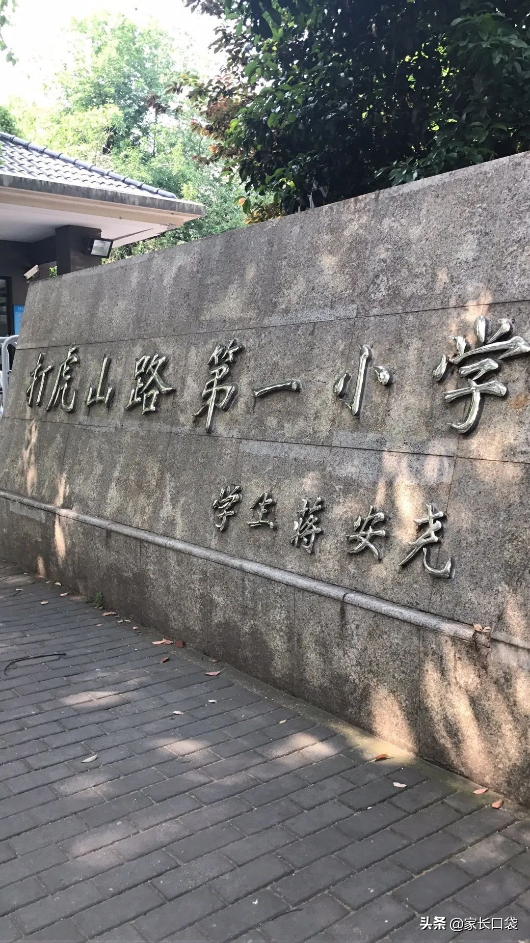 上海热门小学隐藏技：芭蕾、乒乓、游泳、书法、科技……样样有