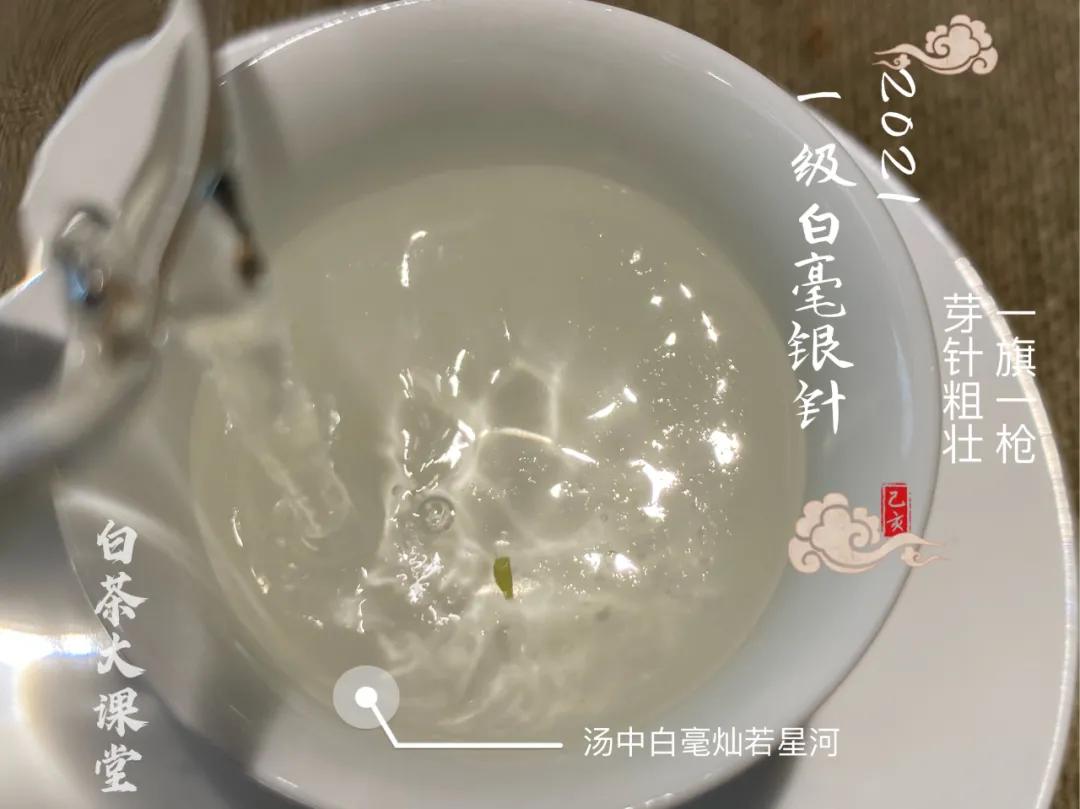 白茶的精髓就在三句话,白茶究竟是什么茶