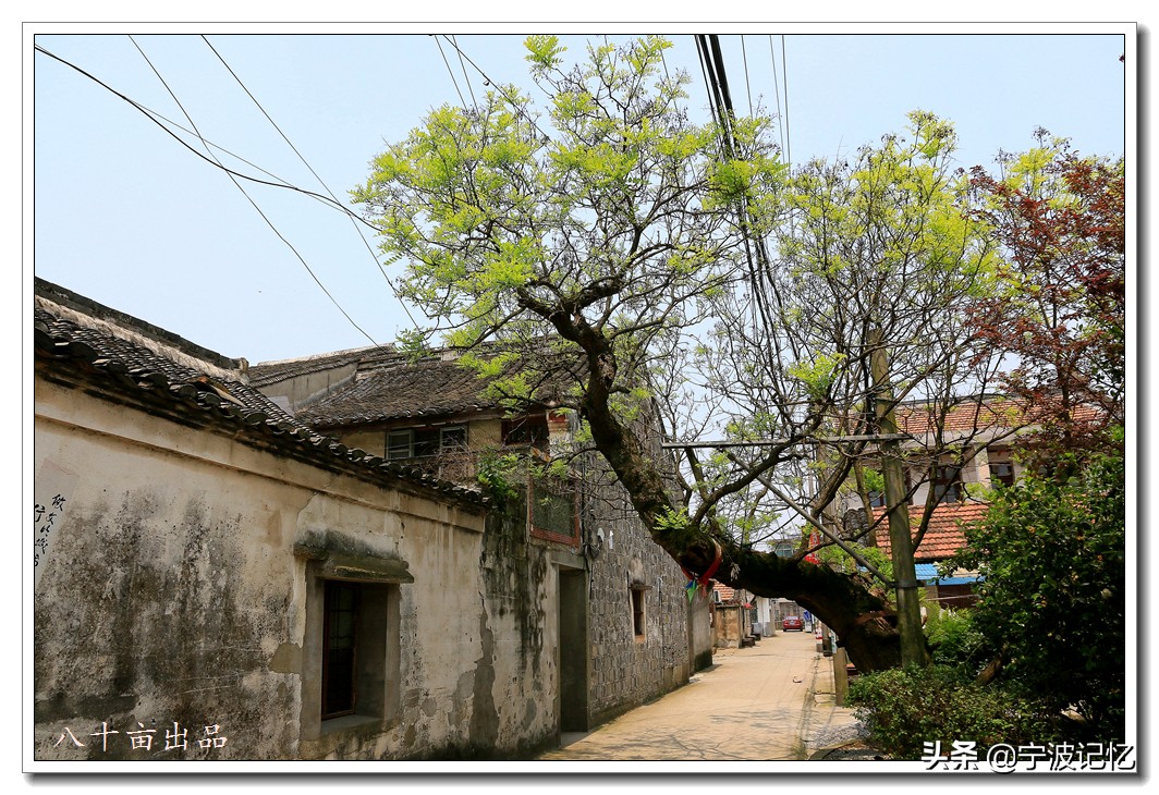 镇海十大古村落,宁波镇海区骆驼街道清水湖村